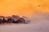 Misty Rideau Canal Sunrise_16348-9